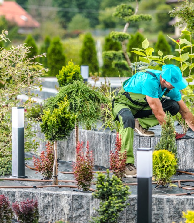 Professional Landscaper Checking Soil Condition of Layered Flower Bed in His Client's Backyard Garden. Gardening Theme.
